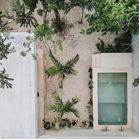 Willa La Sultana: Amazing New House With Pool And Bikes Included. Valladolid  Zewnętrze zdjęcie